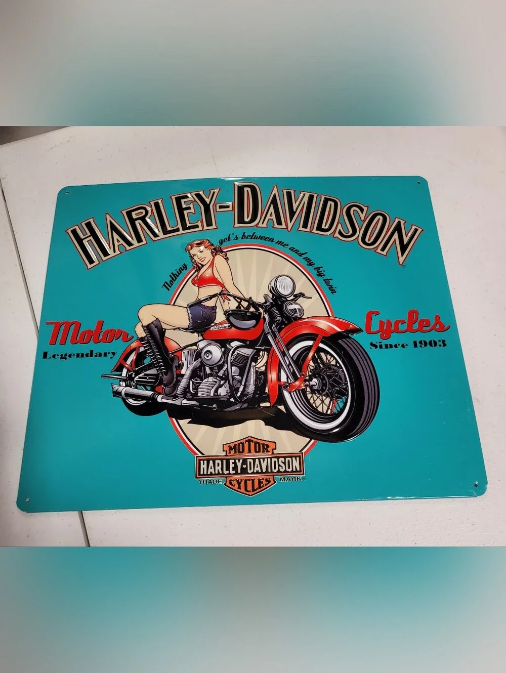 Harley-Davidson Teal and Red Motorcycle Wall Art